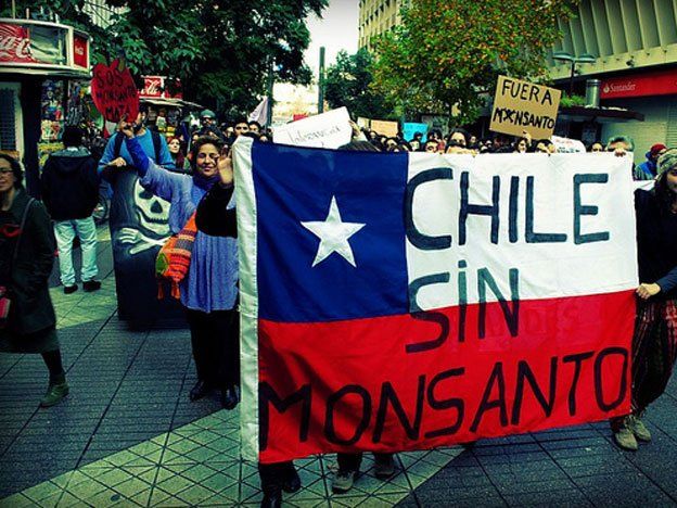 Miles de personas marcharon en Chile para reclamar la salida de multinacional Monsanto