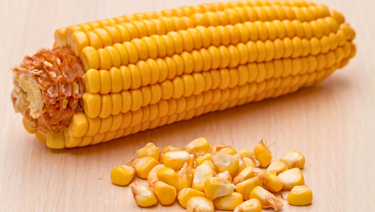 Truco de cocina: cómo sacarle los granos al choclo usando el microondas