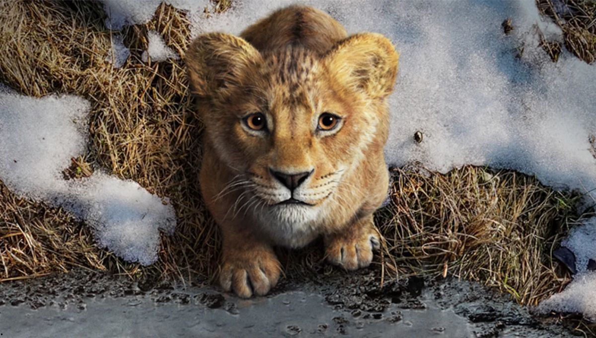 No es Mufasa: las dos películas que tiene Disney Plus, son live action y las protagonizan animales.