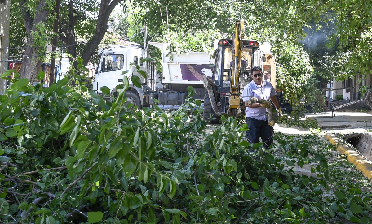 Hubo 129 incidentes en el Gran Mendoza por los fuertes vientos que corrieron este miércoles a la madrugada. Hubo 129 incidentes en el Gran Mendoza por los fuertes vientos que corrieron este miércoles a la madrugada.