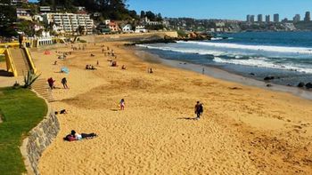 Clausuraron una conocida playa de Chile por la aparición de una medusa que genera toxinas Clausuraron una conocida playa de Chile por la aparición de una medusa que genera toxinas