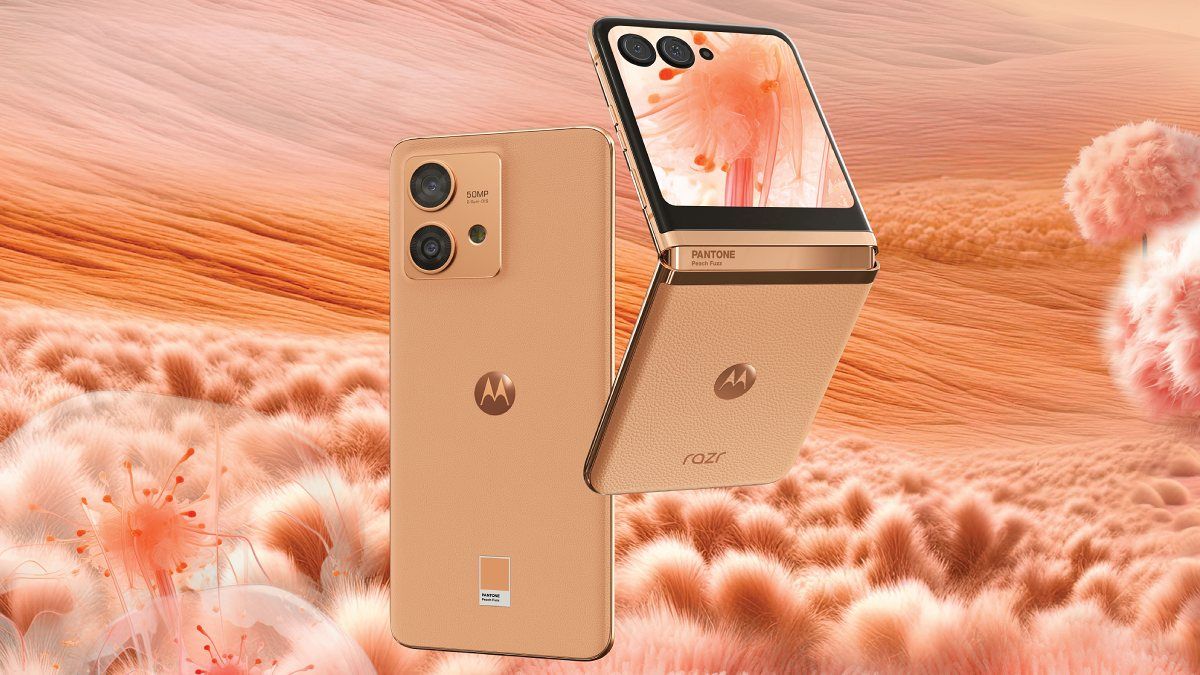 Motorola sacó teléfonos que gustaron mucho y se acercó a Samsung. Motorola sacó teléfonos que gustaron mucho y se acercó a Samsung.