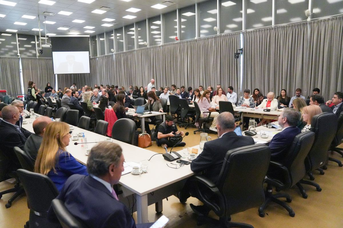 la reunión de la comisión de Previsión y Seguridad Social de la Cámara de Diputados, la reunión de la comisión de Previsión y Seguridad Social de la Cámara de Diputados,