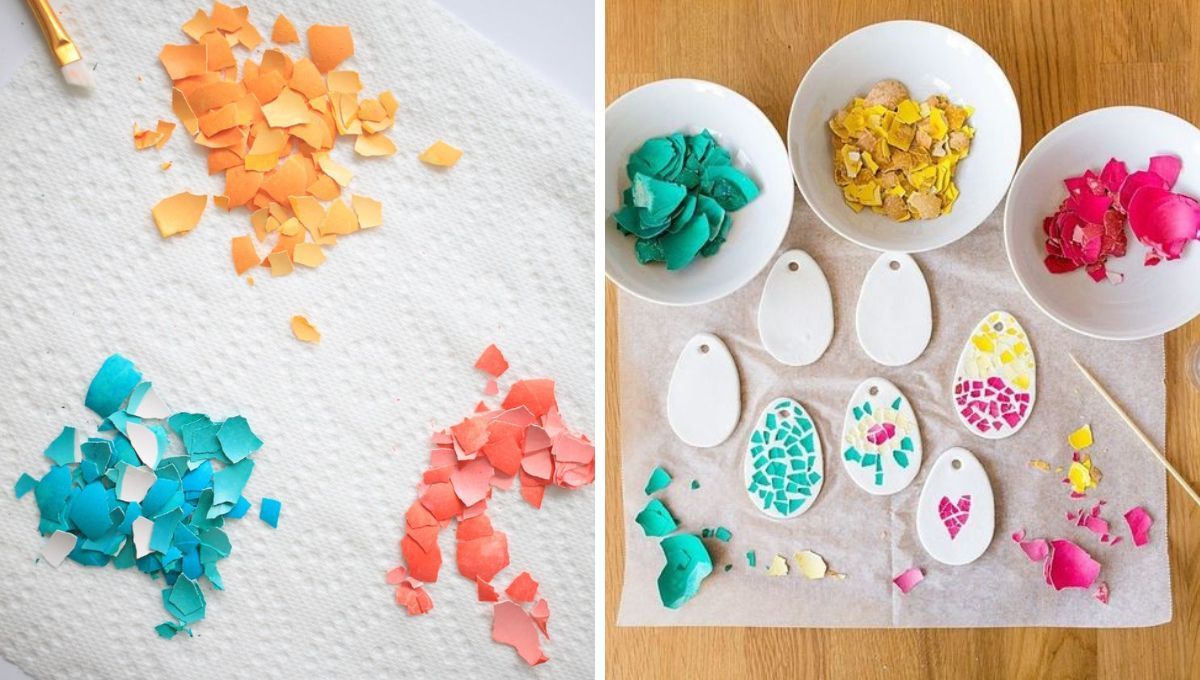 Cáscaras de huevo. Cáscaras de huevo.