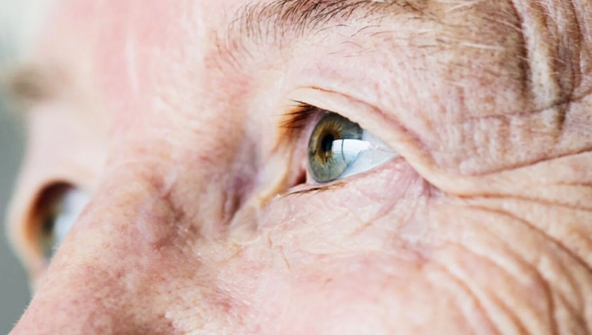 La efectividad de este test rápido se ha demostrado a través de estudios