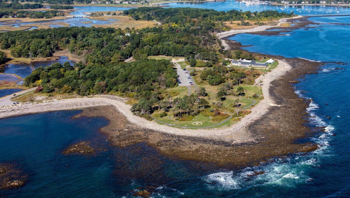 New Hampshire y su bosque hundido.&nbsp;