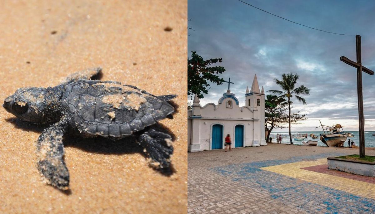 Los visitantes pueden aprender sobre la vida marina de la región. Los visitantes pueden aprender sobre la vida marina de la región.