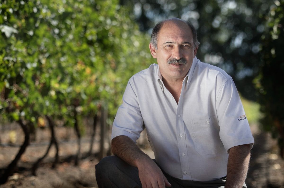 Onofre Arcos fue una figura clave en el desarrollo de los vinos espumantes.