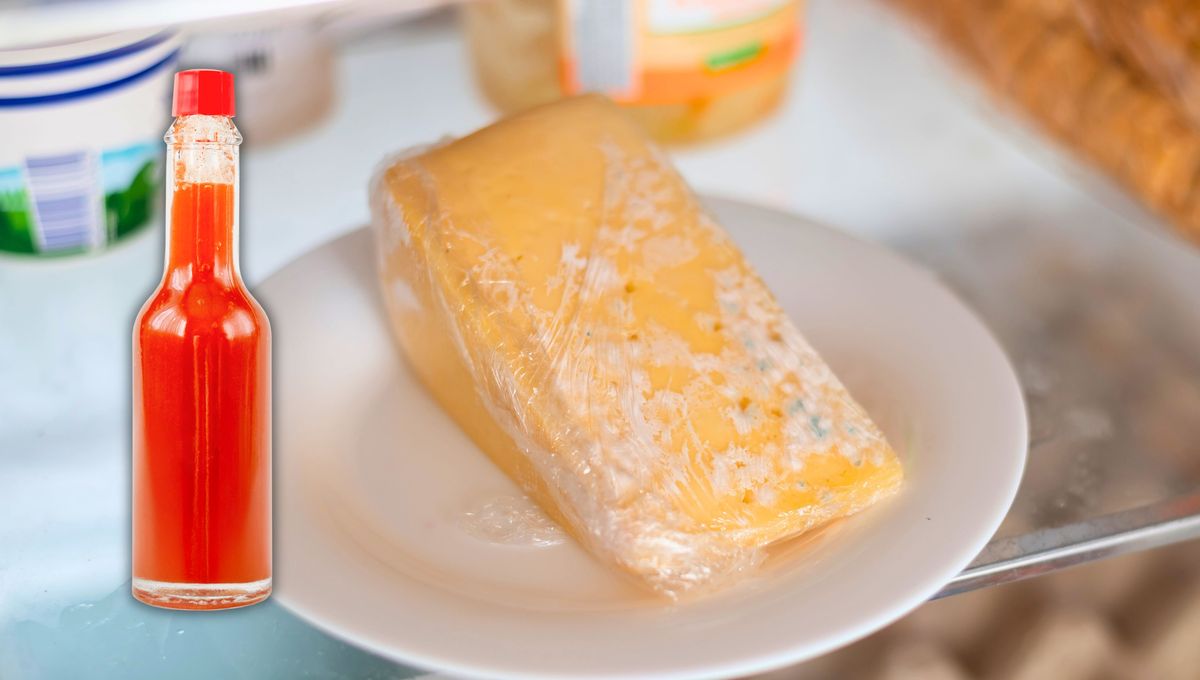 Con un chorrito de vinagre: cómo conservar el queso y evitar que le salgan hongos