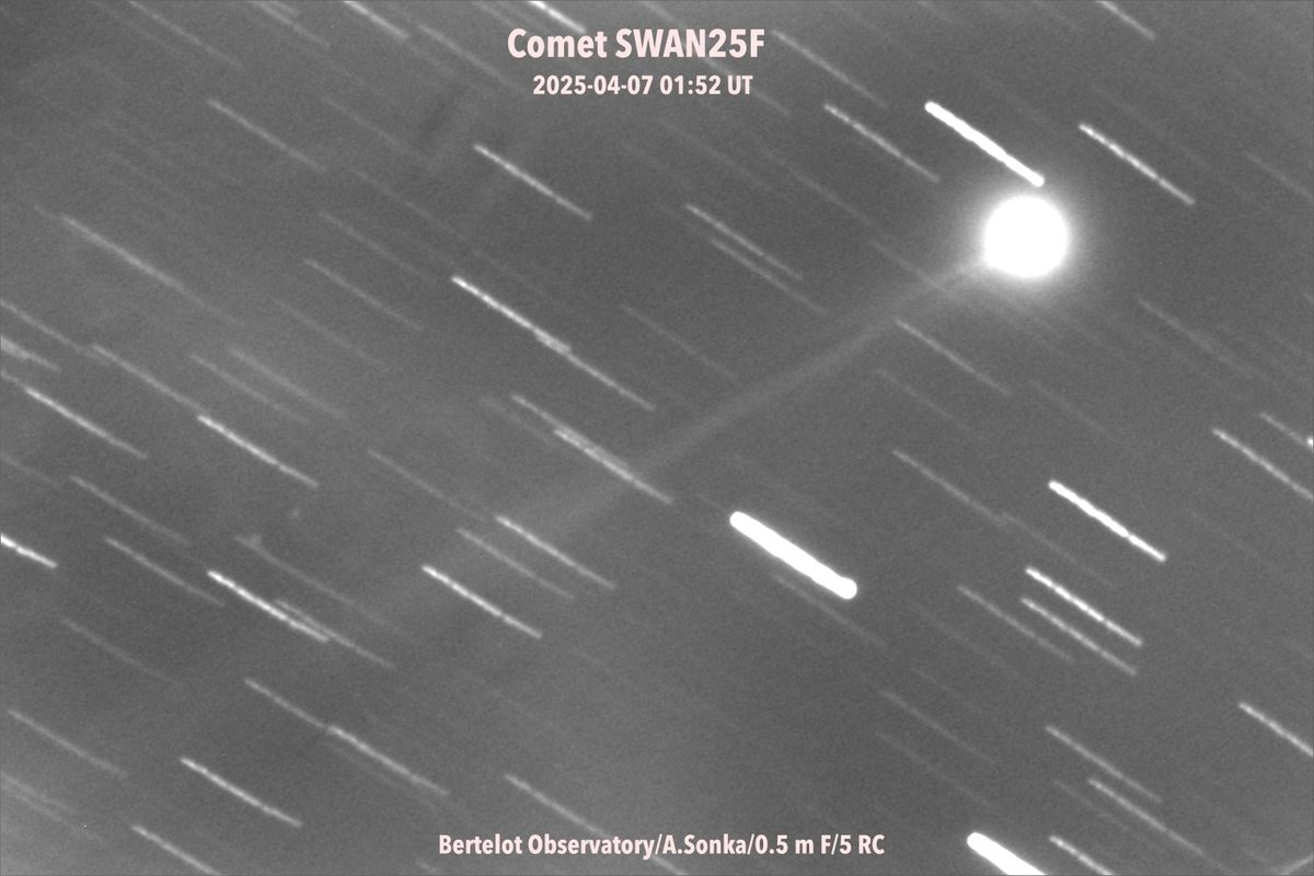 La aparici&oacute;n de un nuevo cometa desconcierta a los astr&oacute;nomos: cu&aacute;ndo podr&iacute;a verse