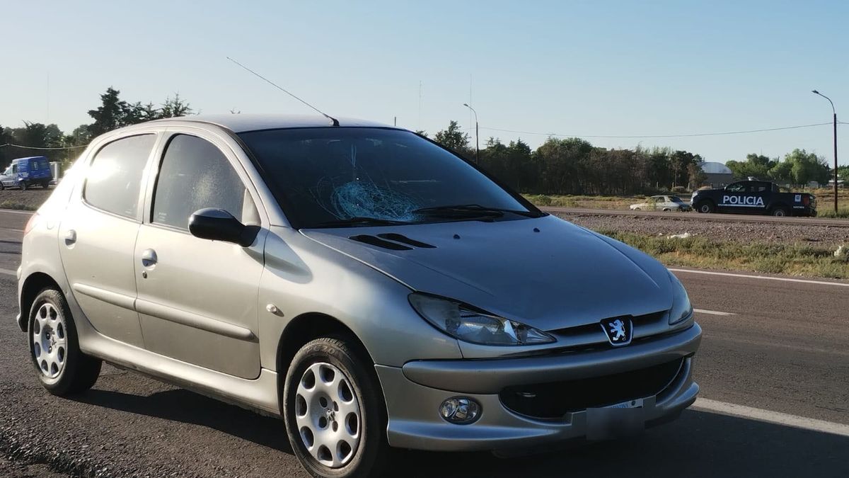 El Peugeot 206 que embistió a la mujer circulaba hacia el Oeste por el Acceso Este, entre Lavalle y Montecaseros, de San Martín. El Peugeot 206 que embistió a la mujer circulaba hacia el Oeste por el Acceso Este, entre Lavalle y Montecaseros, de San Martín.