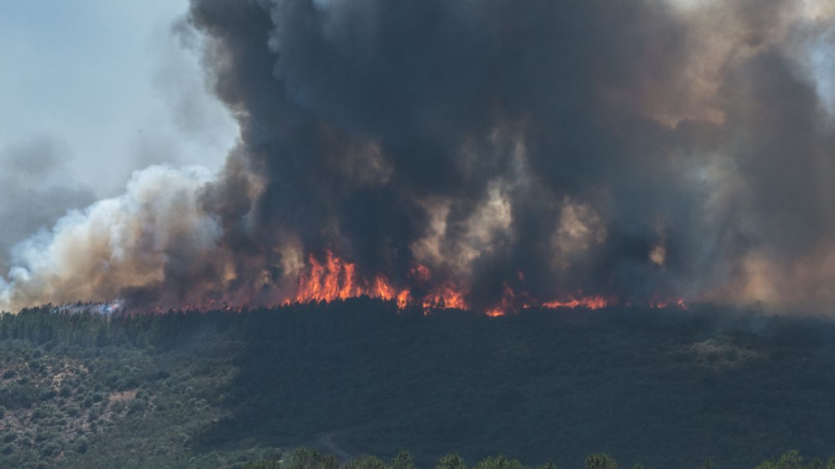 Las medidas de prevención de fuego aplicadas en Portugal alertan rápido a los bomberos y permiten evitar incendios catastróficos como los de antes. Las medidas de prevención de fuego aplicadas en Portugal alertan rápido a los bomberos y permiten evitar incendios catastróficos como los de antes.
