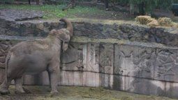 Diputados también le dio media sanción a la ley del Ecoparque