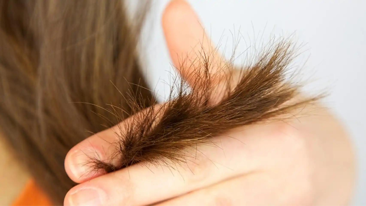 Este truco casero te ayudará a hidratar tus puntas y dejar tu cabello brillante.