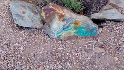 Muestras de mineral en terreno de la minera San Jorge, que busca explotar PSJ Cobre Mendocino. Muestras de mineral en terreno de la minera San Jorge, que busca explotar PSJ Cobre Mendocino.