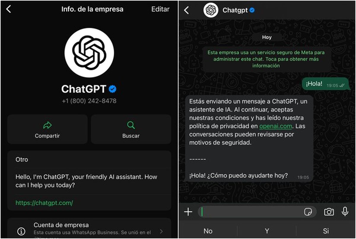 Así se ve una conversación con ChatGPT dentro de WhatsApp. Así se ve una conversación con ChatGPT dentro de WhatsApp.