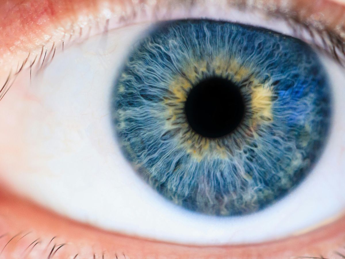 Descubrimiento de un nuevo color sorprende a los científicos: no se había visto antes Descubrimiento de un nuevo color sorprende a los científicos: no se había visto antes