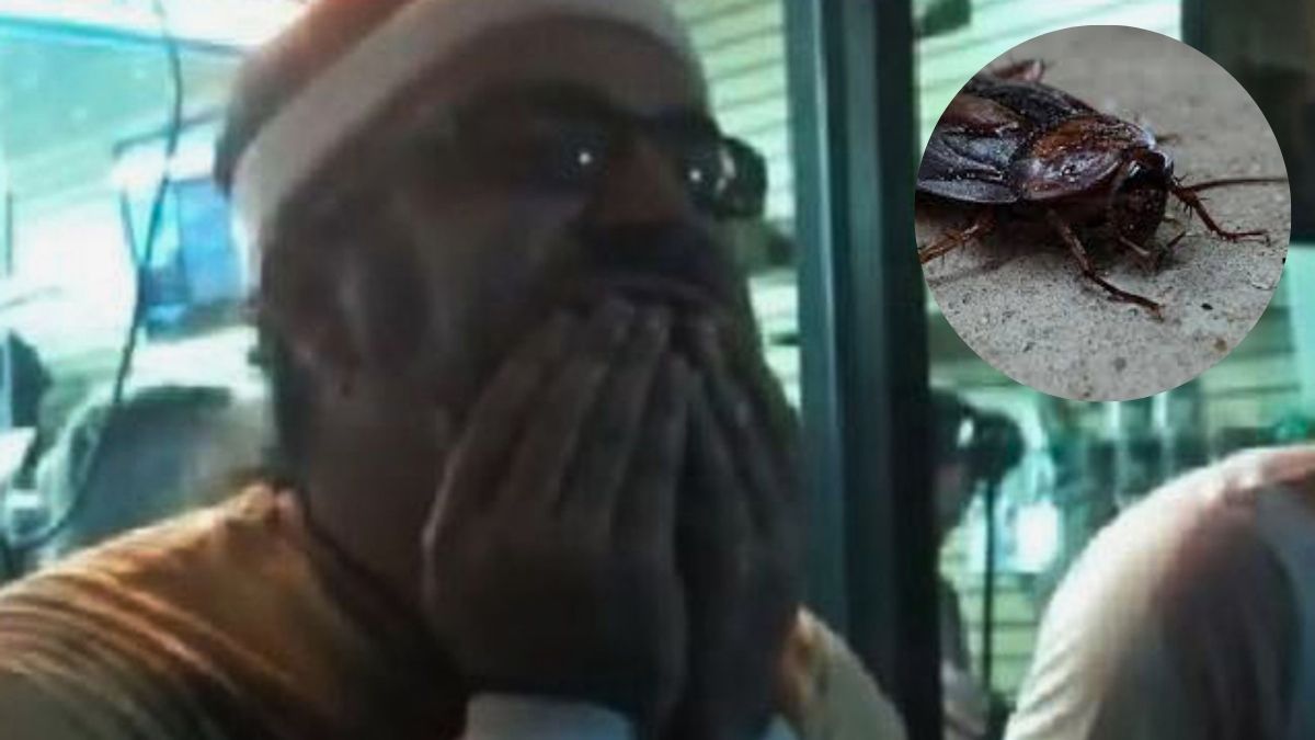 Comió decenas de cucarachas y gusanos para ganar una serpiente, se desplomó y murió