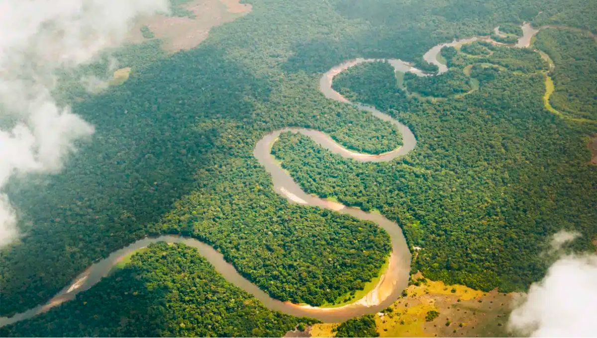 El río más profundo del planeta Tierra: 220 metros, ni Nilo ni Amazonas y más de 700 especies
