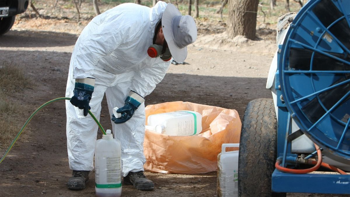 Un programa se encarga de los envases vacíos de fitosanitarios.