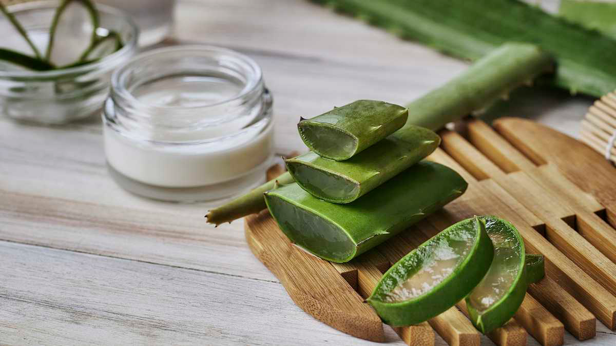 Para qué sirve el Aloe vera 4 formas de aprovechar sus beneficios en casa