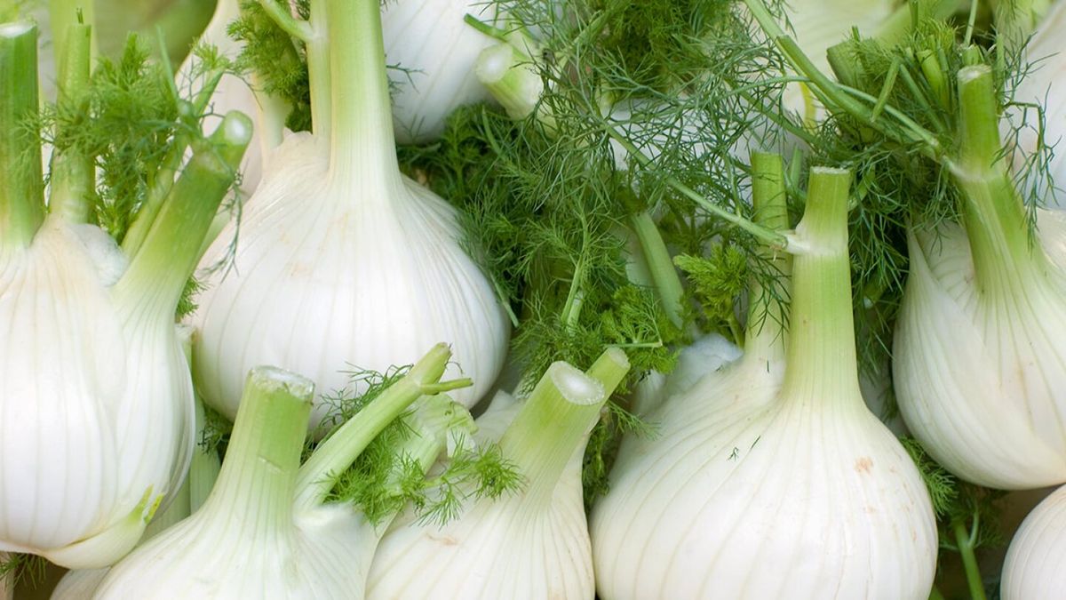 El hinojo nos ayuda a eliminar toxinas del organismo a través de la orina, a la vez que evita la retención de líquidos. El hinojo nos ayuda a eliminar toxinas del organismo a través de la orina, a la vez que evita la retención de líquidos.