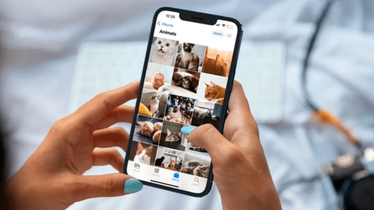 Apple actualizó iOS 17.5 y la versión llegó con una falla insólita: Qué fue lo que pasó