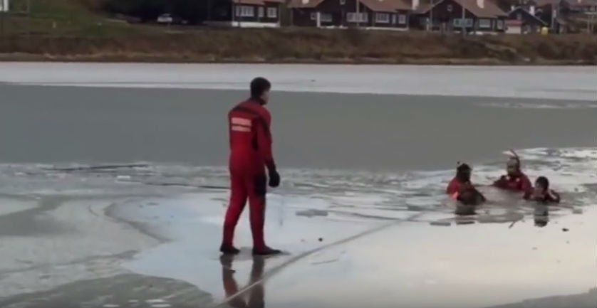 Bomberos de Ushuaia salvan a dos perros de morir congelados en las aguas heladas de la Bahía Encerrada