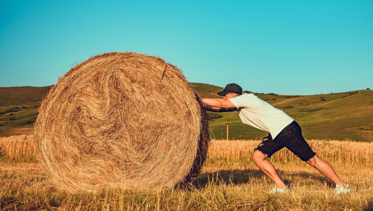 Esta palabra puede acompañarte por la mañana o por la noche, como reflexión o cierre del día. Esta palabra puede acompañarte por la mañana o por la noche, como reflexión o cierre del día. 