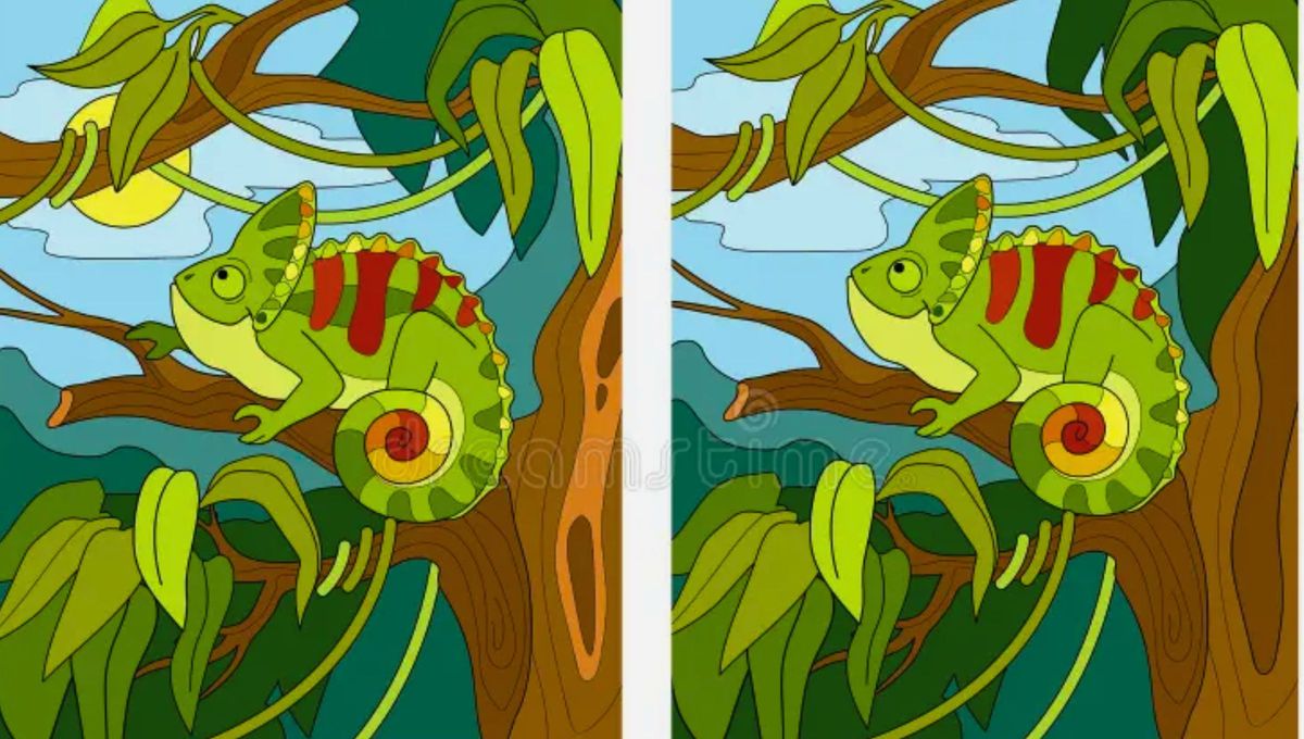 Este acertijo visual desafía a las personas más atentas a encontrar las 5 diferencias dentro de la imagen