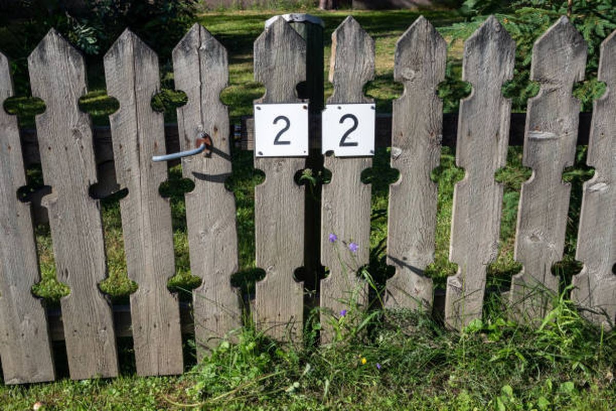 Descubrí tus números de la suerte para hoy. Descubrí tus números de la suerte para hoy.