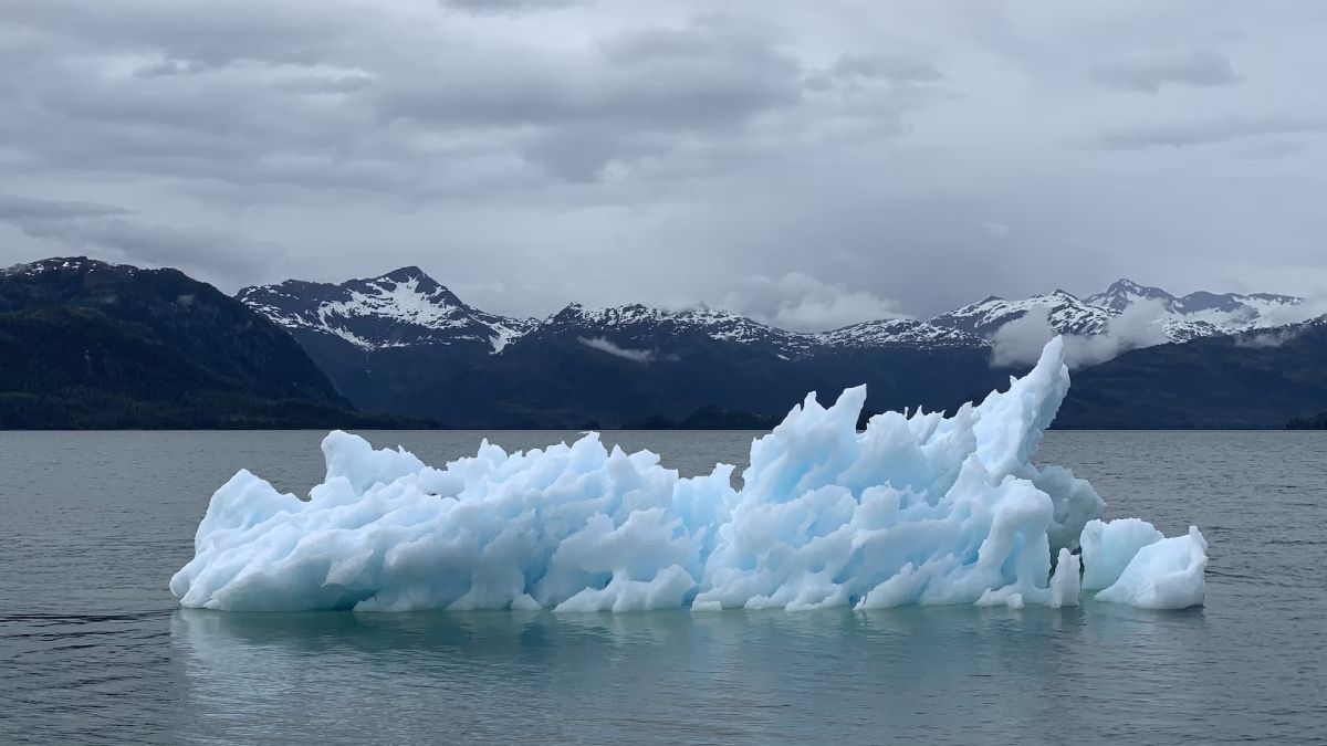 (Foto: Unsplash) (Foto: Unsplash)