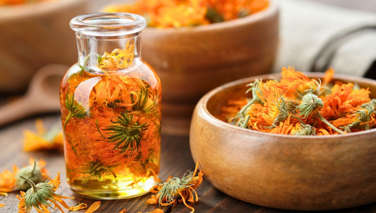 Caléndula: por qué recomiendan consumir sus hojas y qué beneficios aporta esta planta sanadora