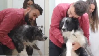 El tierno gesto de una pareja con su perro para que no sufra la pirotecnia en Año Nuevo