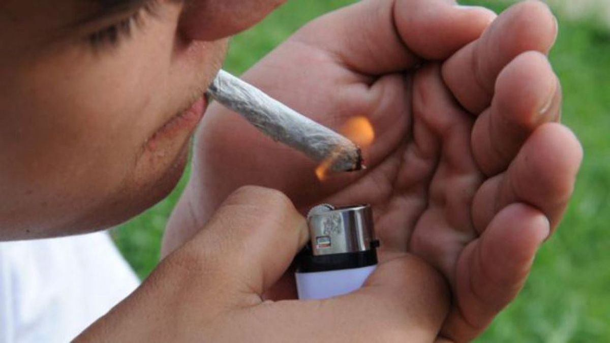 En Mendoza se ha detectado que el 35% de los estudiantes fuma marihuana.