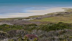 Las costas africanas enfrentan un desafío que no se da en otro lado del mundo. Las costas africanas enfrentan un desafío que no se da en otro lado del mundo.