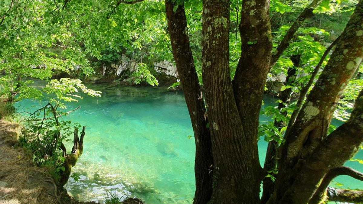 Si estás buscando refrescarte en un sitio impactante y dejarte llevar por la naturaleza, este pueblo en Asturias tiene la piscina natural más maravillosa. Si estás buscando refrescarte en un sitio impactante y dejarte llevar por la naturaleza, este pueblo en Asturias tiene la piscina natural más maravillosa.