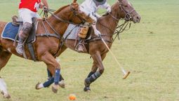 La Asociación Argentina de Polo (AAP) atraviesa una profunda crisis institucional bajo la conducción de Benjamín Araya. Foto: lustrativa&nbsp;
