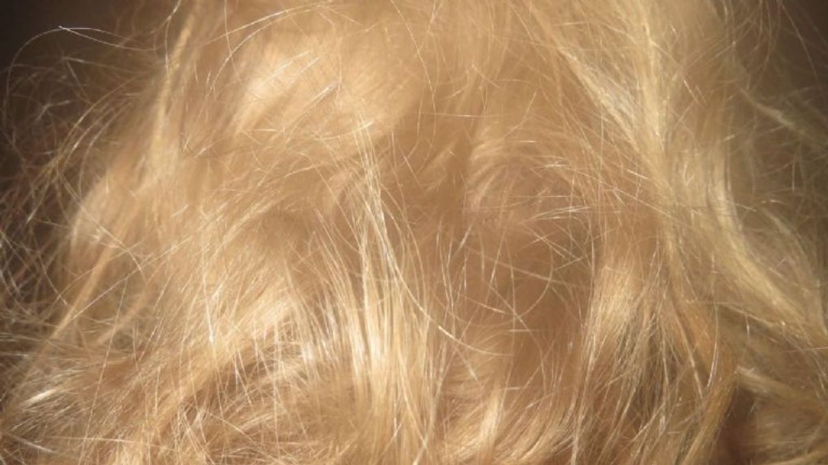 Las fotos de las jóvenes desaparecidas, apuntando hacia la nada. Las fotos de las jóvenes desaparecidas, apuntando hacia la nada.