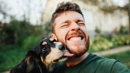 5 señales de que tu perro te quiere