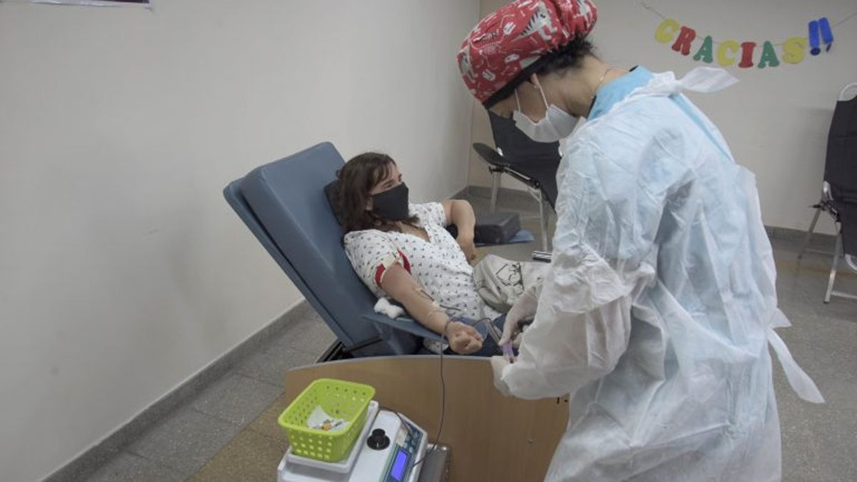 Debieron reprogramarse cirugías por la falta de sangre.