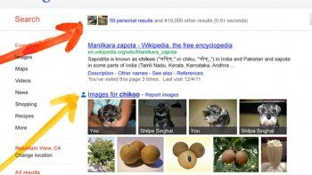 Google personaliza resultados