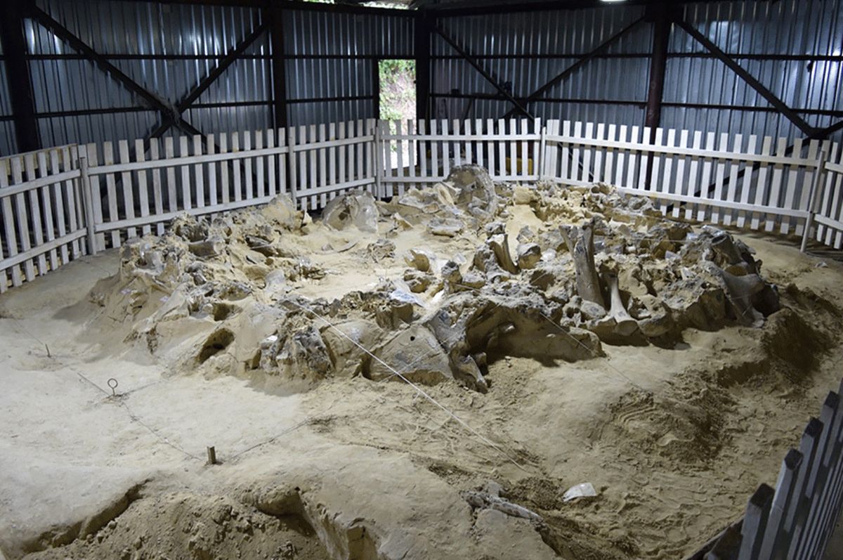 Descubrimiento en Ucrania tiene 18 mil años y es indescriptible