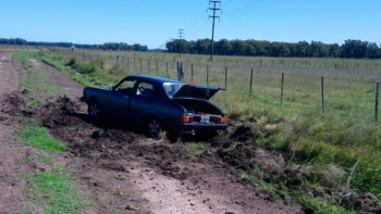 Robaron una vaca y la cargaron en un Dodge 1500: cuando los descubrieron ya estaba faenada