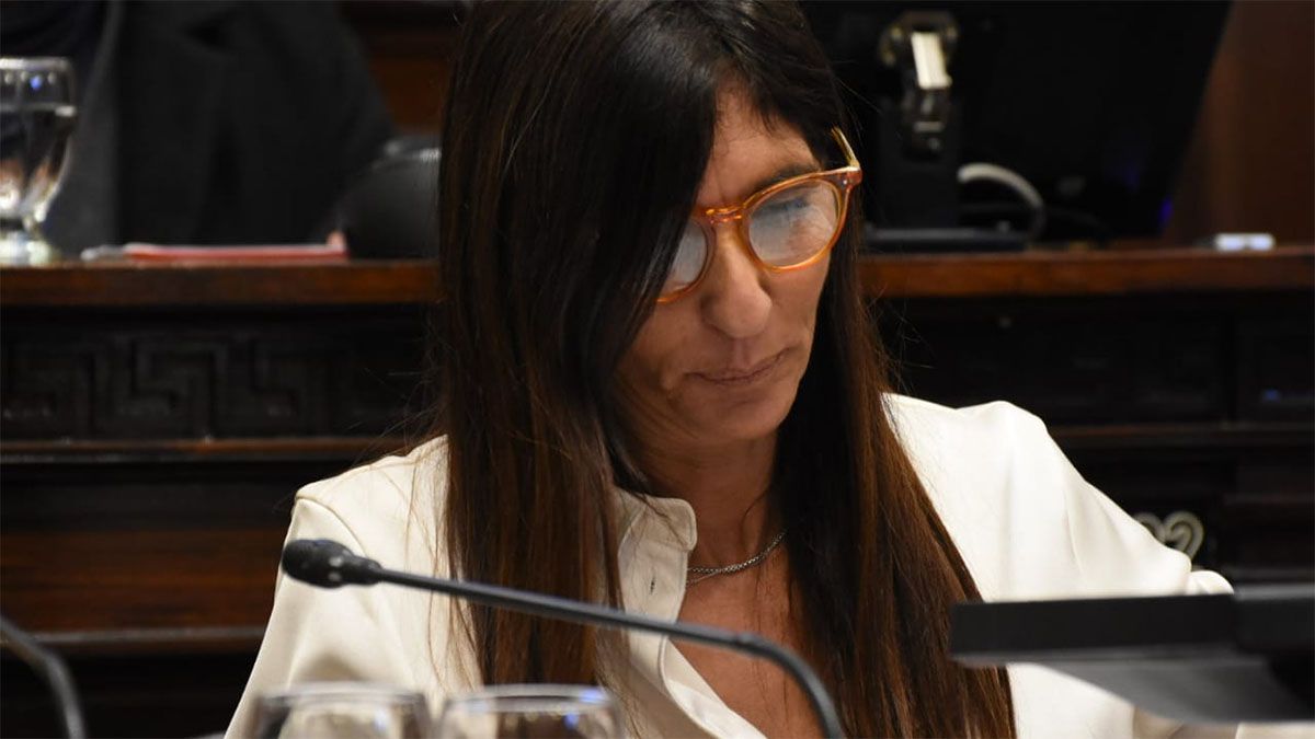 Natacha Eisenchlás, una de las senadores radicales que presentó la propuesta Natacha Eisenchlás, una de las senadores radicales que presentó la propuesta