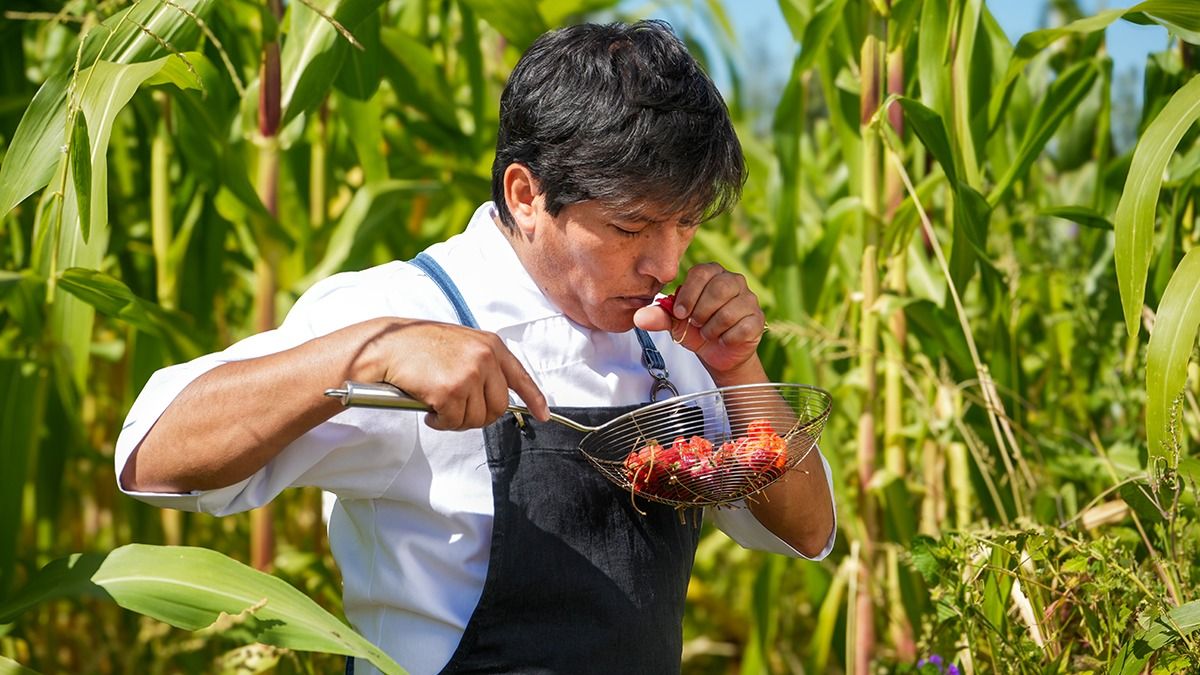 Para Alfredo Morales, los sabores y aromas de su cocina reflejan su infancia en Jujuy y su presente en Cuyo. Para Alfredo Morales, los sabores y aromas de su cocina reflejan su infancia en Jujuy y su presente en Cuyo.