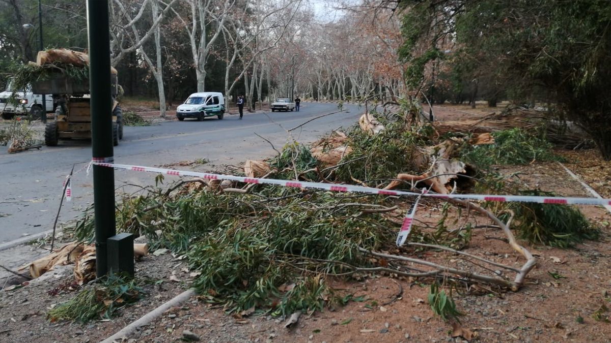 Vuelve el Zonda en Mendoza: baja la temperatura y después...