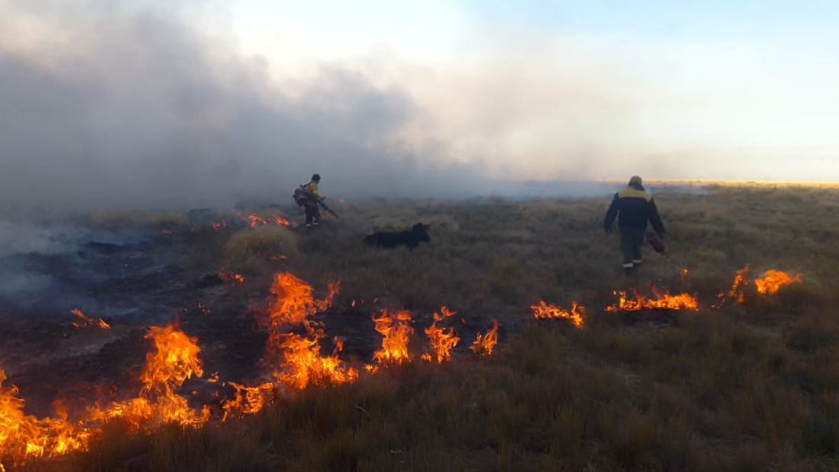 Bomberos de San Rafael y Malargüe trabajan en un incendio en la zona de Los Parlamentos de San Rafael. Bomberos de San Rafael y Malargüe trabajan en un incendio en la zona de Los Parlamentos de San Rafael.