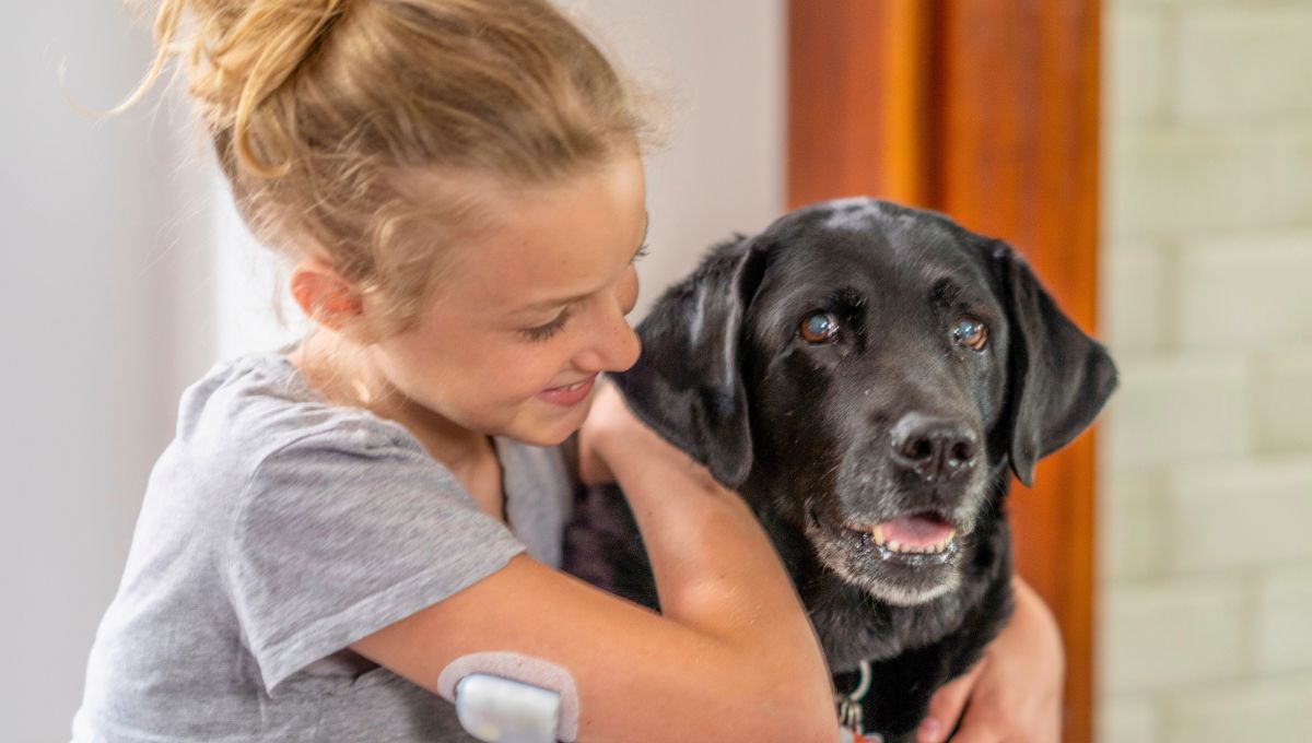 Cuáles son los beneficios de convivir con un perro en casa