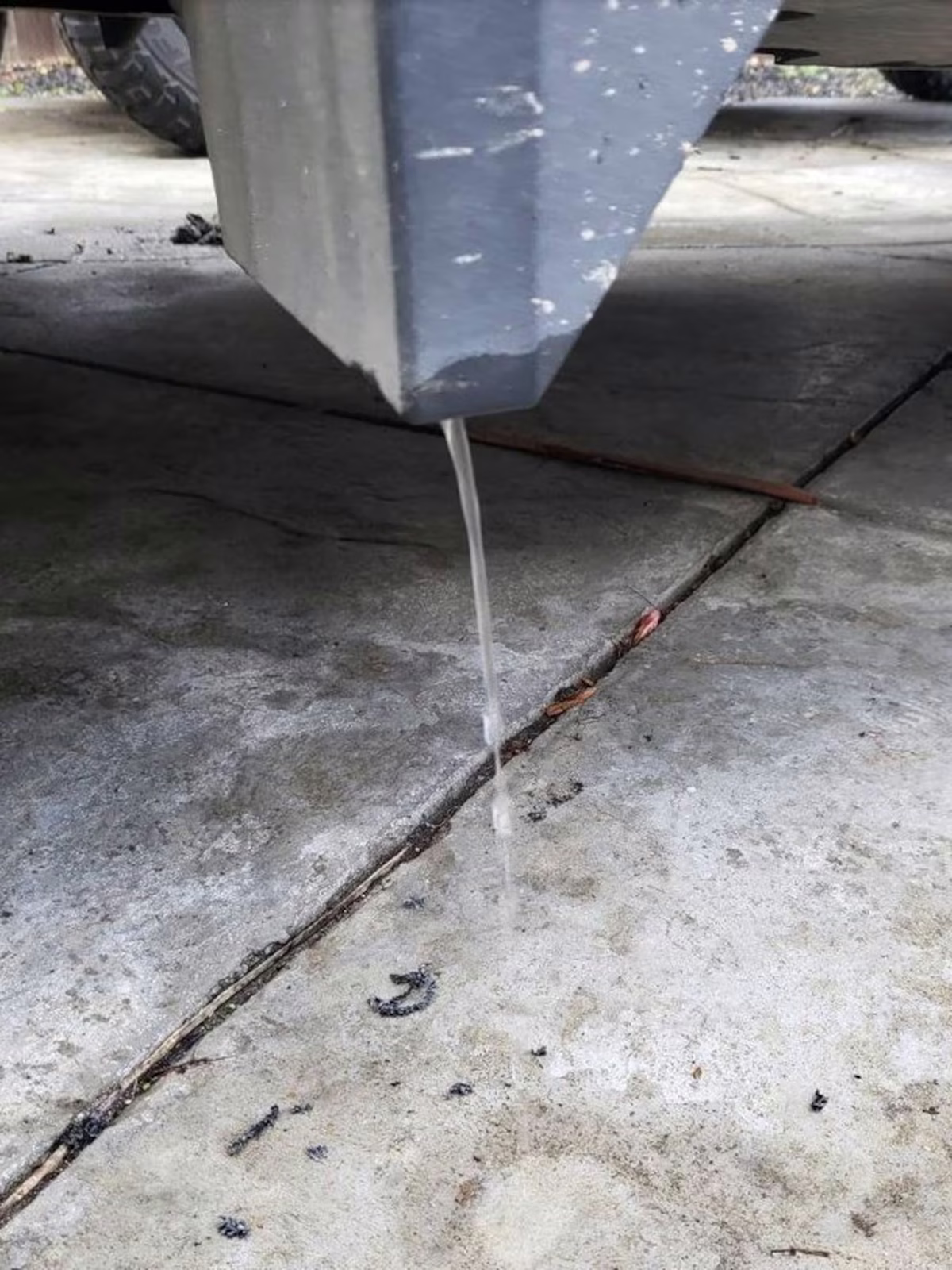 Elon Musk en alerta: Tesla presenta insólito problema en uno de sus vehículos más famosos Elon Musk en alerta: Tesla presenta insólito problema en uno de sus vehículos más famosos